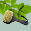 Beechwood Body Dry Brush
